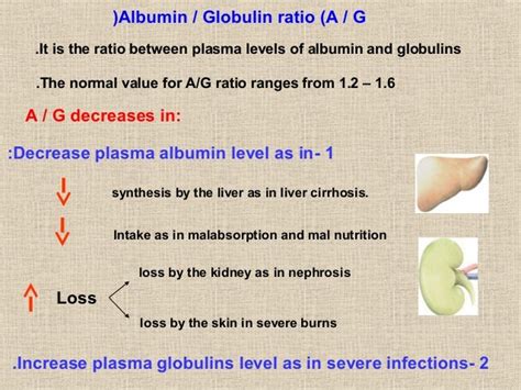 Normal and Abnormal Globulin Levels .